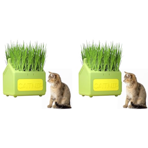 Qpets® Cat Grass Planting Box Catnip Growing House Cartoon Pot Plastic Home Décor Element Not Contain Grass 12x9x12CM 2PCS Qpets® Cat Grass Planting Box Catnip Growing House Cartoon Pot Plastic Home Décor Element Not Contain Grass 12x9x12CM 2PCS